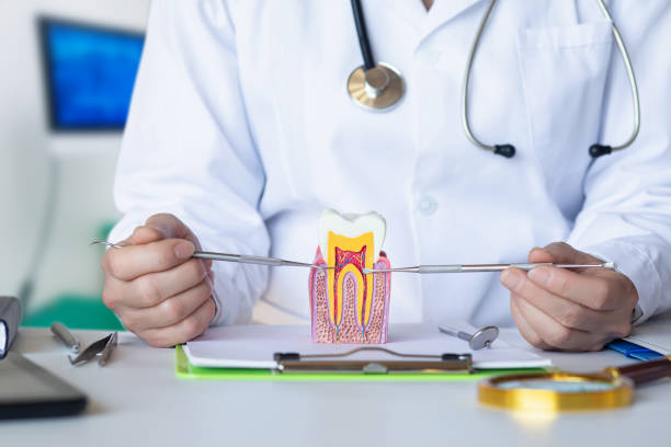 Best Tooth Infection Emergency Dentist  in Jenison, MI